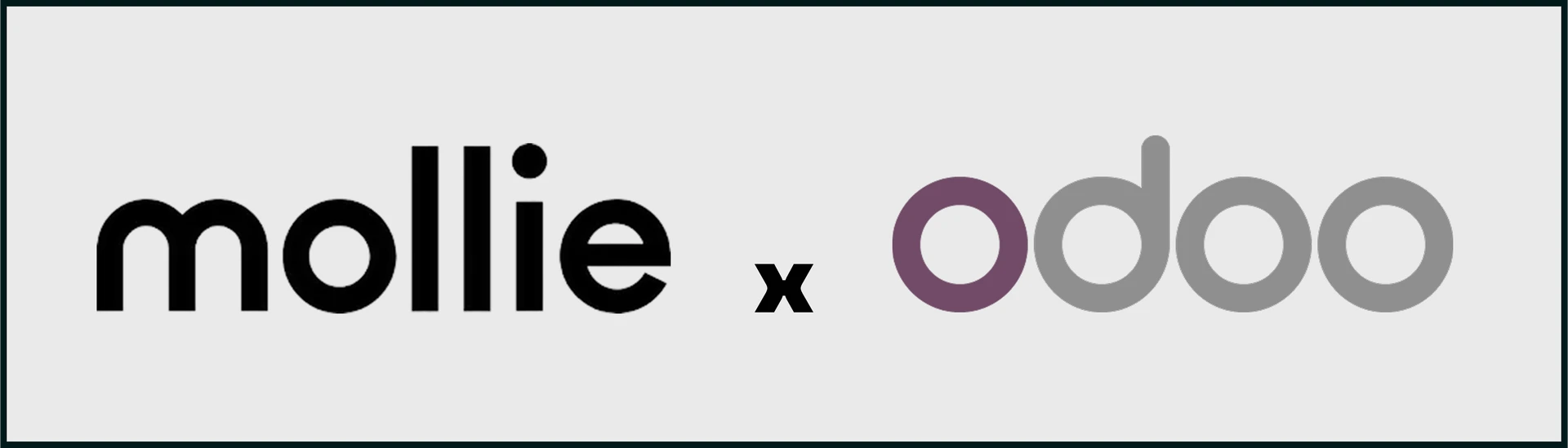 Paiements Mollie et Odoo accompagnés par Ekonum